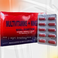 B50 Forten (Tablet) x10 Tablets