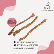 Dehydrated Braided / Straight Pig Bully Stick (Dog Treats) - 10 piece bundle