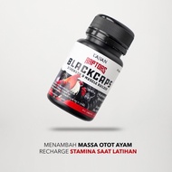 Doping Kapsul Ayam Aduan Pisau Laga - Raptors Blackcaps 30 Kapsul (Bukan Import V22, B50 Forten)