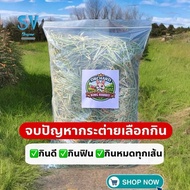 Orchard Hay Grass 1 kg Sifted Dust Stevia Soft Noodles Lots Of Leaves Easy To Eat High Fiber Timothy