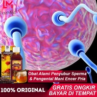 Kurmaqu Original Madu Herbal Atasi Mani Encer Pria - Pengental sperma laki2 - Mengentalkan Seperma D