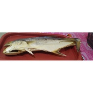 Dry Gutter/Machin Gutter/Tail Gutter Weight 1kg