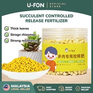 Succulent Controlled Release Fertilizer Controlled Release Fertilizer For Succulent Baja Cactus 多肉专用