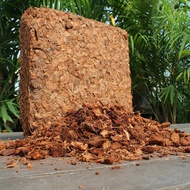 4.5kg Cocopeat Block Premium Coir Coco Peat Compressed Cocopeat Brick Garden Soil Bongkah Sabut Kela