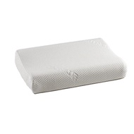 Snowdown Tencel Latex Contoured Pillow