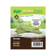 Baba Smart Grow Seed: VE-063 F1 Asparagus 高产芦笋 Asparagus Biji Benih