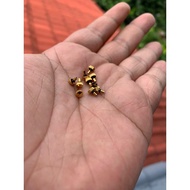 Seiko 7s26 Gold watch Crown knob