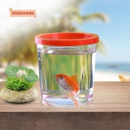 PEONYTWO Betta Fish Tank, Random Color Lightweight Mini Goldfish Tank, Portable Transparent Colors Fish Box