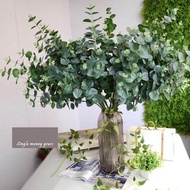 DECORATIVE LEAVES - Round eucalyptus eucalyptus Leaves