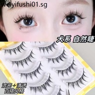 Dog Style Fluffy False Eyelashes n29 Natural Simulation One Piece Black Stem Comic Little Devil Air Light Eyelashes