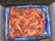 ※御海榮鮮※ 超大 冷凍熟白蝦 1.2公斤(20~30隻) 新鮮海味即刻享用