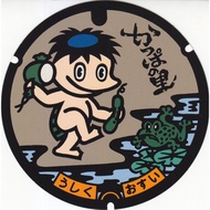 Japan Post Man Hole Gotochi Shaped Postcard from Ibaraki