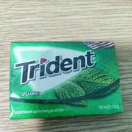Trident sugar-free mint gum 21,6g (12 cloves x3.8g) chewing gum
