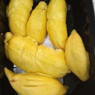 Pahang Raub Blackgold MSW durian