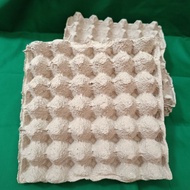 Egg Tray Egg Tray/ (New)