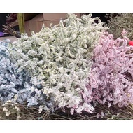 🇸🇬[SG Stock]SG Local Preserved Limonium Preserved Caspia Preserved Flowers Dried Flowers Home Decoration/DIYcollocation
