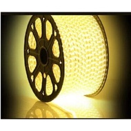 Led Strip Hose Smd 5050m 100M 220V 100M Meter Outdoor Decoration