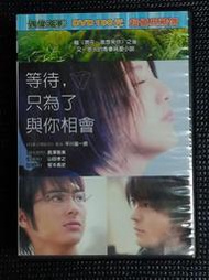 等待，只為了與你相遇DVD 長澤雅美 山田孝之 塚本高史 八成新