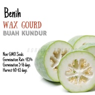 BENIH Wax Gourd Buah Kundur Seeds