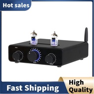 Vacuum Tubes D325J Preamplifier Amplifiers GE5654W Audiophile Hi-Fi Tube Preamplifier TPA3255 Blueto