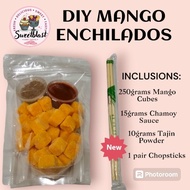 DIY Enchilados Mango Cubes Gummies Candy Chamoy Tajin
