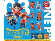 扭蛋 海賊王 艾斯 卡普