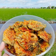 Kerepek Bayam Brazil Crispy Healty Snack keropok Peyek berkhasiat 5 Flavor Original Spicy Cheese BBq