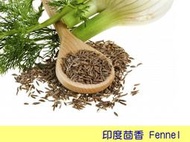 【歐洲菜籃子】印度 Fennel 茴香籽/ 甜茴香籽 200克(分裝)，義大利香腸主要香料，茴香茶-歷史悠久的藥草茶