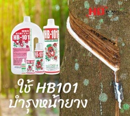 เซรั่ม HB-101 ฮอร์โมนบำรุงหน้ายาง เซรั่มรักษาหน้ายาง ปุ๋ยเขียว