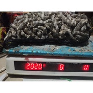 Ginger coral + 2kg netting / ginger coral / filter media / koi pond filter media / pond filter media