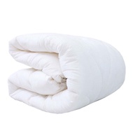 Autumn winter blanket insert size 2m x 2m2 cm - High quality blanket insert weighs 1.6kg, 2.5kg, 3kg