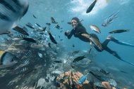 Open Trip Kepulauan Seribu - Pulau Harapan 2D1N by Go Explore