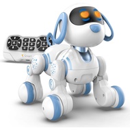 STEMTRON Programmable Remote Control Robot Cat Robot Dog for Kids, Interactive Robotic Dog Robotic C