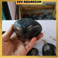 Plain black pebbles for aquarium setup, home decor
