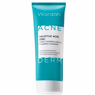 Wardah Acnederm Pure Foaming Cleanser
