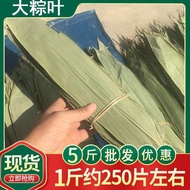 2025新品干粽叶新鲜粽叶粽叶棕叶子苇叶箬叶粽子节家用包肉粽干粽叶dried rice dumpling leaves fresh rice dumpling leaves rice dumpling