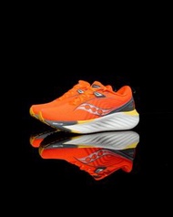 Saucony Triumph 22