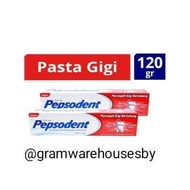 Pepsodent 120g