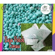 BAJA POKOK LIMAU fertilizer baja LEMON Terbaik buah lekat dan besar