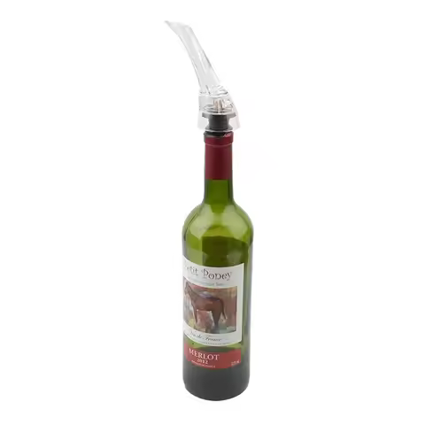 Stainless Steel Wine Decanter Fast Decanter Mini Wine Filter Air Intake Bottle Pourer Aerator for Ho