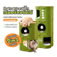 PET-RECORD 2-Storey House With Holes 3 Floors Cat Castle Condo Building Japanese Design Cylindrical