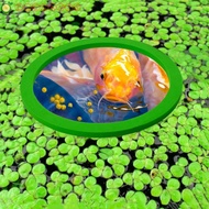 AELEGANT 5pcs/set Aquarium Floating Plant Corral, Heat-resisting 8-20CM Fish Tank Grass Blocking Rings, Fish Tank Accessoies Flexible EVA Fishes Feeding Rings for Goldfish