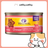 Wellness Complete Health Gravies Salmon Dinner Canned Cat Food, 3 oz