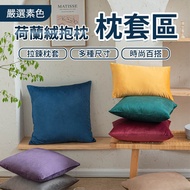 Plain Dutch Velvet Pillowcase Single Without Pillow Core Soft Skin-Friendly With Zipper 40x40 45x45 