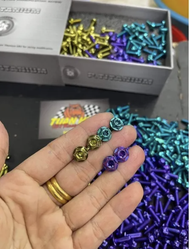 ( 10pcs )(Mẫu Salaza Ngôi Sao Titan) Ốc 4li15 5li15 nhuyễn đầu Sao Salaza Titan Gr5