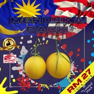 [Pakej "Beginner"] Melon Manis Terengganu/ "Gold Honeydew" x (1A + 1B)