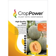 Benih Rock Melon ML219 Glory F1 Hybrid Melon Crop Power - ( 500 seeds ) 👍 💯