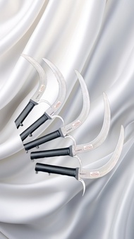 EGREK KINGOYA PAKAI TAJI DAN KOLONG