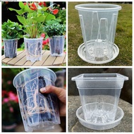 BACKSTREET4FC3 Transparent Flower Pot, Plastic Round Square Phalaenopsis Orchid Potted, Accessories 