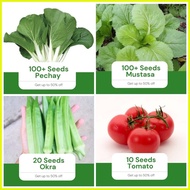 ♞,♘Sale All in 4 in 1 Pack Seeds (Pechay, Mustasa, Okra, Kamatis) Vegetable Garden Pot Outdoor Plan